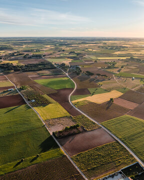 Aerial view of green agricultural fields, San Clemente, Cuenca, Spain.