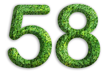 3d of the number of 58 is made from green grass on white background, go green concept