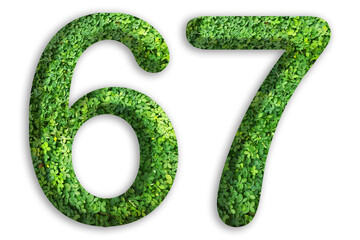 3d of the number of 67 is made from green grass on white background, go green concept