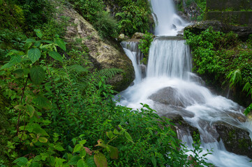Obraz premium Paglajhora waterfall , famous waterfall in monsoon, at Kurseong, Himalayan mountains of Darjeeling, West Bengal, India. Origin of Mahananda River flowing through Mahananda Wildlife Sanctuary.