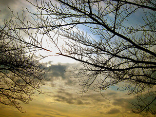 夕暮れ間近の公園の空