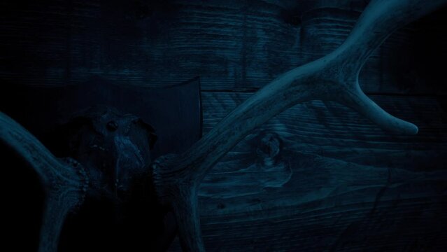 Passing Antlers Mounted On Wall In Dark Lodge