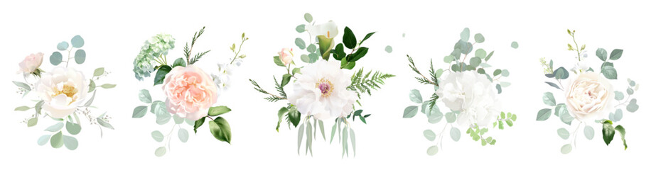 Classic pink rose, white hydrangea, peony, beige ranunculus, mint eucalyptus, fern, sage greenery vector design wedding spring bouquets. Floral summer watercolor. Elements are isolated and editable