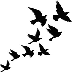 A flock of flying birds. Pigeons Flying Silhouettes. group of birds in the sky