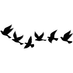 A flock of flying birds. Pigeons Flying Silhouettes. group of birds in the sky