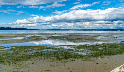 Beach Park Landscape 6