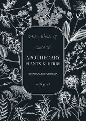 Naklejka premium Apothecary plant frame design. Witchcraft background. Herbal remedies, medicinal plant, witch herbs, natural medicine hand-drawn vector illustration on chalkboard NOT AI genereted