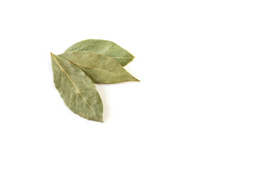 dried bay leaf isolated on white background with copy space. Close-up.