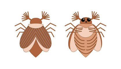 May bug, chafer, beetle. Vector illustration