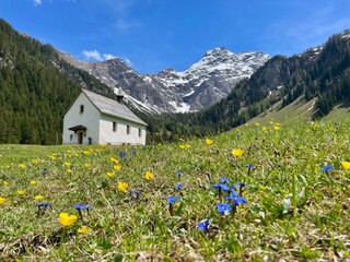 Chapel Sankt Rochus with wild flowers in Nenzinger Himmel, Vorarlberg, Austria.