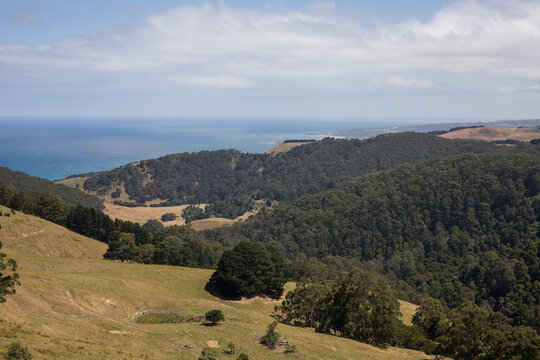 Farmland and the ocean