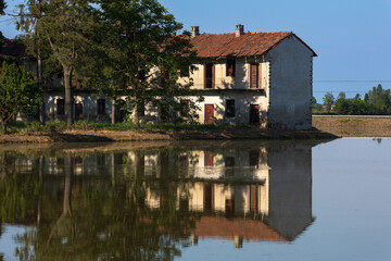 Obraz premium Cascina Cattedrale abbandonata tra le risaie a Borgolavezzaro in Piemonte