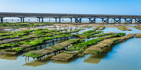 Oyster beds and bridge of Oleron on a sunny day