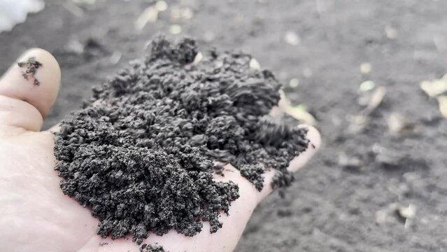 valuable agricultural black soil with fertile, mineral and peat content