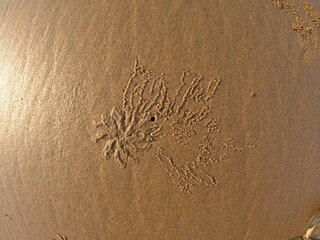  texture on sand  at sea beach