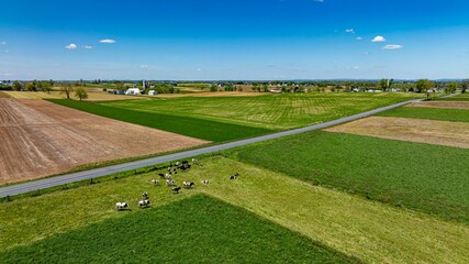 A vivid aerial photograph capturing an expansive view of mixed-use farmland, featuring a grazing...