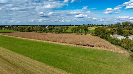 Fototapeta premium An Aerial View of Cornfield and Green Pastures in Rural Landscape