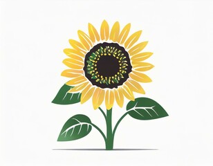 Fototapeta premium sunflower plant icon on white background, flower logo