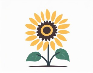 sunflower plant icon on white background, flower logo