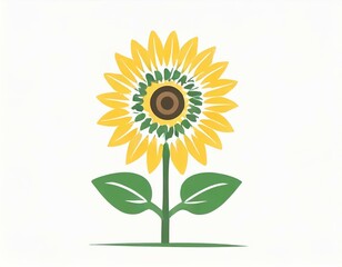 Obraz premium sunflower plant icon on white background, flower logo