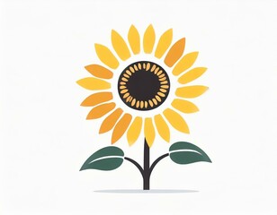 sunflower plant icon on white background, flower logo