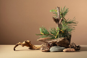 Abstract north nature scene with a composition of pine branches, stones, and dry snags.