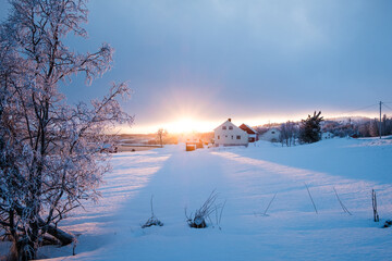 winter landscape with snow and trees at sunset