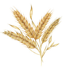Barley spikes bouquet, cereal ears, wheat stalks. Grains for Shavuot, Thanksgiving, Oktoberfest clipart. Cottagecore rustic watercolor illustration for beer whisky, bread, flour packaging, label. © Fofito