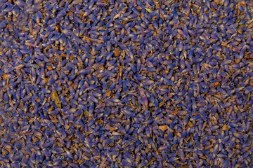 Assortment of dry herbal and berry tea on a wooden background.Medicinal Healing herbs.Alternative...