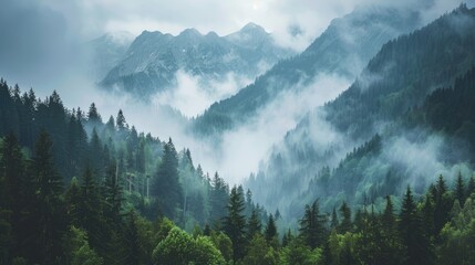 Mountains with wooded sides and summits disappearing in mist Thick mist in the mountains during an overcast day - Powered by Adobe