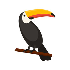 toucan flat vector illustration on white background © Mubeen