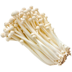 Cluster of Fresh Enoki Mushrooms Isolated on White Background