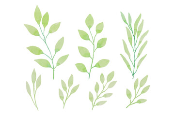 Assortment of watercolor leaves illustration set - green leaf branches collection for wedding, greetings, stationary, wallpapers, fashion, background. olive, green leaves, Eucalyptus etc