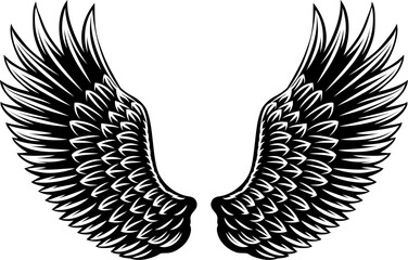 Angel, eagle, hawk or falcon bird wings feather wing pair set illustration in a vintage woodcut style