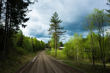 A dirt road going into the distance in a Scandinavian forest, a red traditional Swedish house hidden behind the trees, a cloudy gray sky, Klärälvsleden south of Stöllet in Värmlands, Sweden
