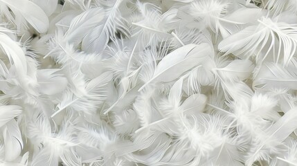 Obraz premium A field full of snow-like feathers, scattered for a magical touch