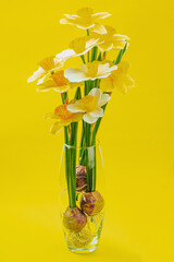 Festive spring composition with assorted blooming daffodils. Traditional seasonal flora