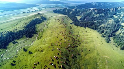   An aerial shot of cows feasting on verdant grass amidst mountain peaks