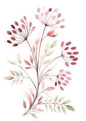 Sprig with dill and leaves drawn in watercolor, stylized botanical illustration on a white background for pattern printing, textiles, invitations, scrapbooking