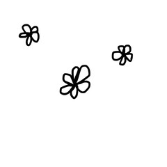 Hand drawn simple small delicate flowers three image graphic 