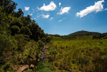 Obraz premium Campos dos Padres, com suas famosas planícies no alto das montanhas de Urubici, Santa Catarina.