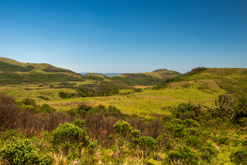 Campos dos Padres, com suas famosas planícies no alto das montanhas de Urubici, Santa Catarina.