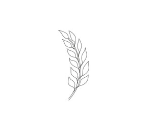 Continuous one line drawing of wheat. Barley or Rye simple outline vector illustration. Editable stroke.