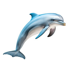 Obraz premium dolphin on transparent background