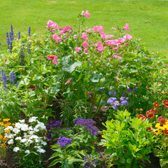 Blossoming flowerbeds in the park