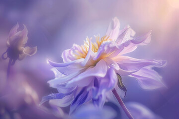 Serene Lavender Flower with Dew Drops in Soft Focus Light