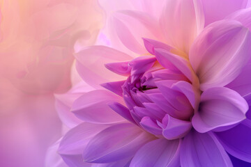 Ethereal Pink and Purple Flower Blooming with Abstract Light Background