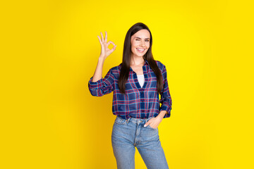Photo portrait of lovely young lady wink show okey dressed stylish plaid garment isolated on yellow...