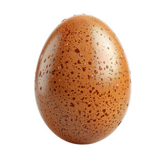 Brown Speckled Egg Isolated on a White Background