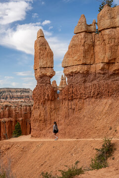 Woman Walks Toward Bend in Trali Around Hoodoo in Bryce